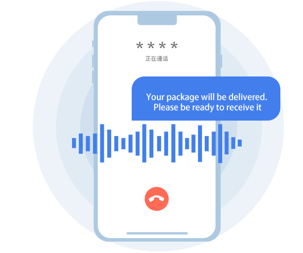 International Voice Notifications